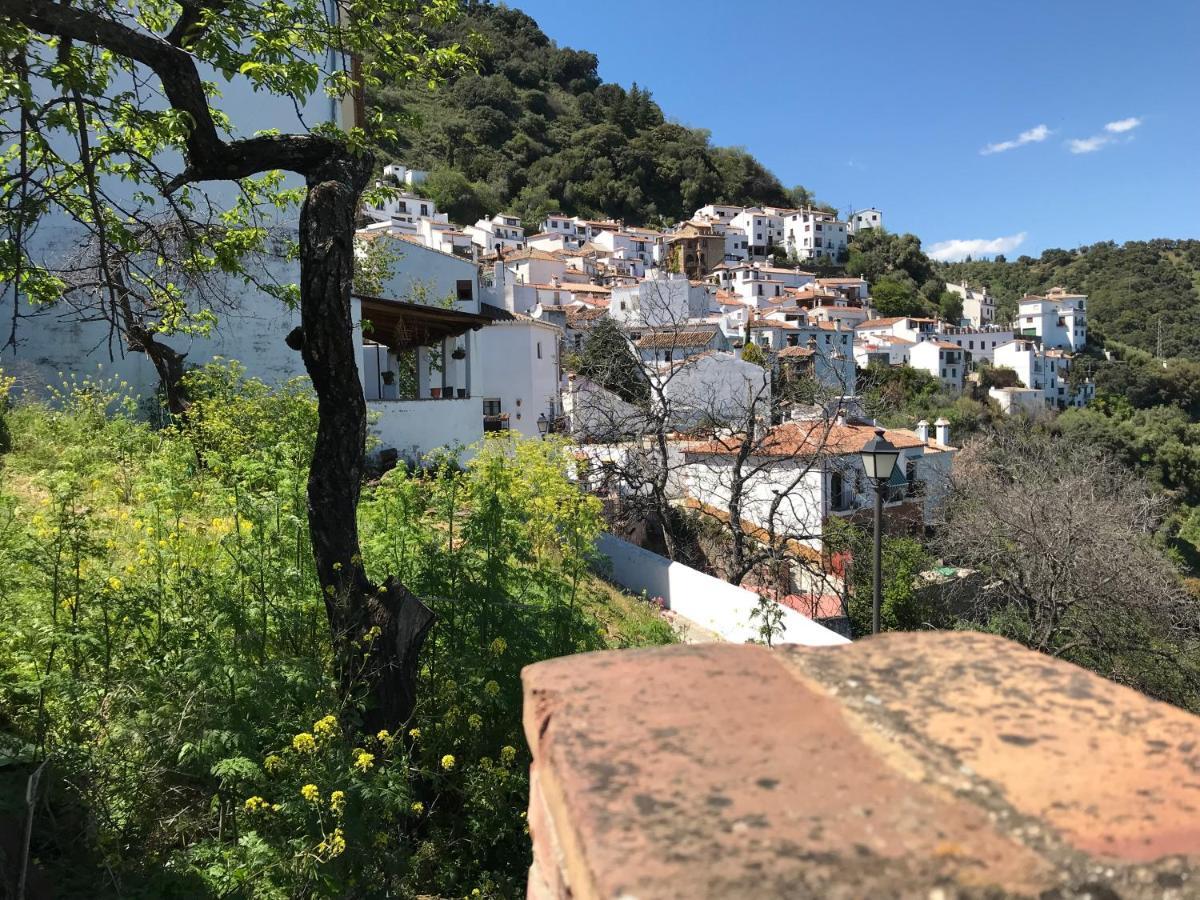 Casa Rural Pimentel Benalauría Exteriör bild
